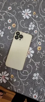 iPhone 13 Pro Max 1