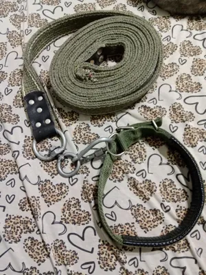 Продам ошейник с поводком 1