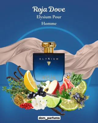 roja elysium pour homme 100 ml 1