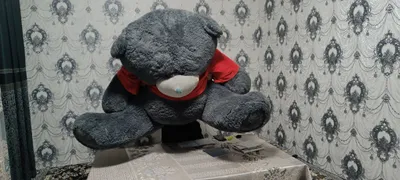 teddy katta ayiq sotiladi srochno kelishtiriladi 1