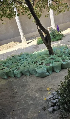 Qum sotiladi.200 ta qop 1