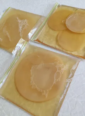 Kombucha uchun choy qo‘ziqorini (scoby)