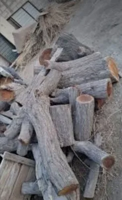 UTINGA Arzon daraht utinlari 1