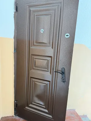Железная дверь 1