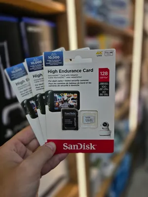 Sandisk micro SD High Endurance