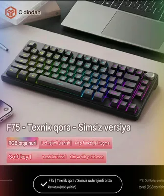 F75 [RGB]Simsiz klaviatura. 3 xil rejim. Mac + Win