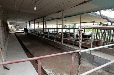 Ferma arendaga beriladi 1
