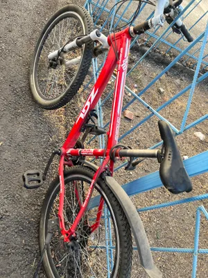 velosiped sotiladi 1