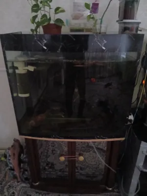 Akvarium + taglik, 120 litr