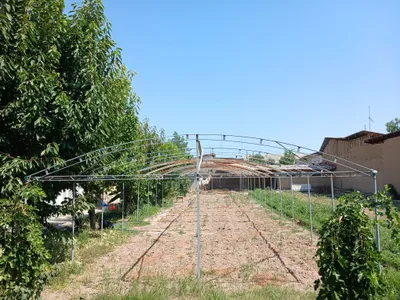 Продаётся теплица 1