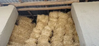 Продаётся прессованная солома 1