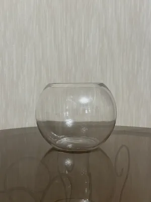 Srochniy dumalo Akvarium 3L 1