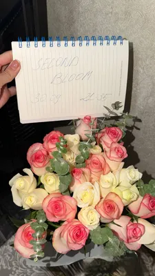 Розы 1