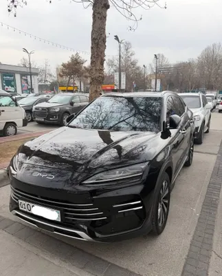 BYD Champion, сухая аренда, гибрид 1