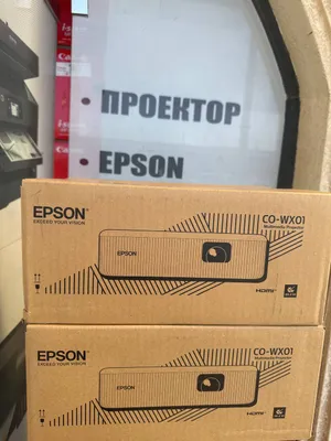 EPSON CO-WX01