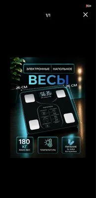Электронные весы Toroz Тороз