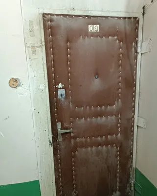 2 ta temir kirish eshigi sotiladi 1