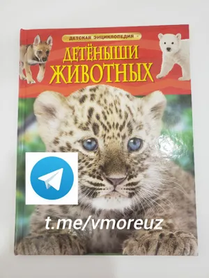 книги, журналы новые и б/у. детям и взрослым 1