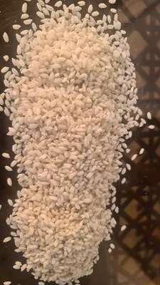 Рис Чункoра из Кыргызстана 1