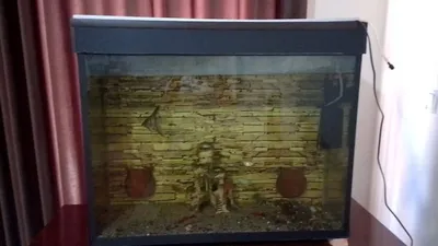 Аквариум на 200 литров