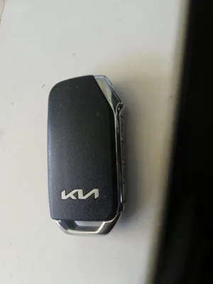 Kia Seltos pulti