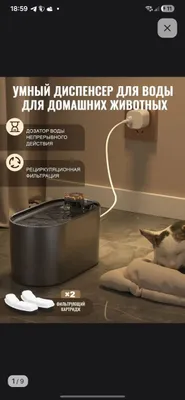 Поилка для кошек