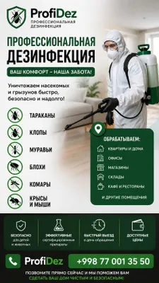 Услуги дезинфекции