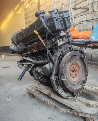 matot sotiladi 1.6 1