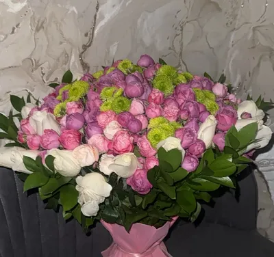 Пион 1