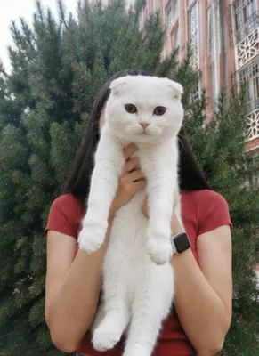 Продаётся 1