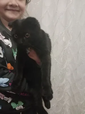 Qanday qilib erkak ayolga kunnilingus beradi