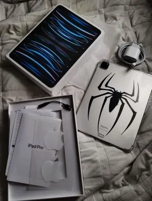 Apple Ipad pro (11‘)