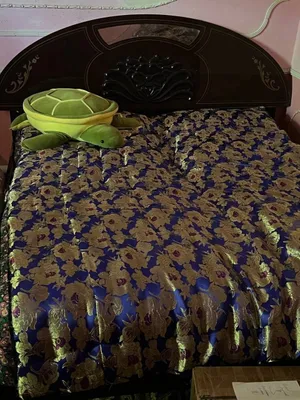 Спалный диван карейский 1