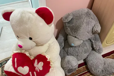 2 мягких медведя