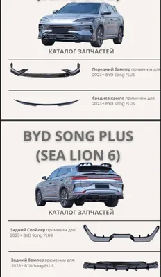 Byd champion bodykit