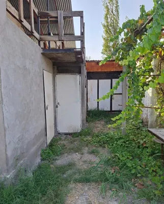 Дача 6 соток, дом 92 м², Зангиата, 14 000 $/сотка 1