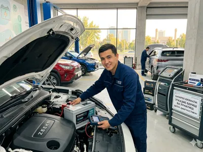 Akkumulyator monza аккумулятор BYD BMW EQUINOX KIA akkumulyator AKB 24 1