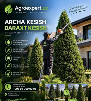 Daraxt kesish | Archa kesish | Bog’bonlik xizmati
