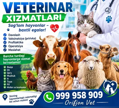 Ветеринарные услуги