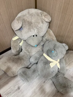 «Teddi» yumshoq o‘yinchoqlari 1