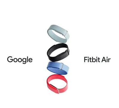 Google Fit Bit Air 1