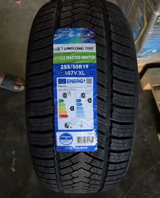 255/50R19 Зимний Европа 1