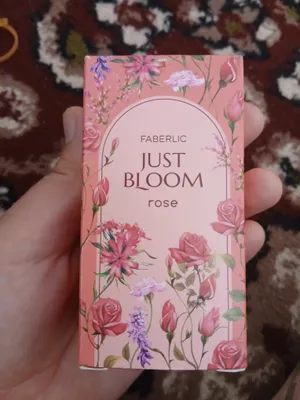 Just bloom rose