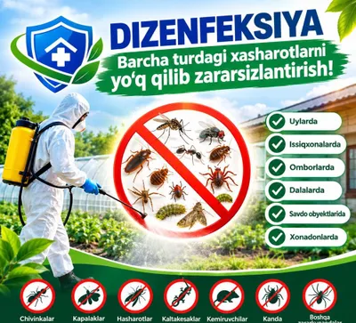 Dizenfeksiya xizmati 24/7 1