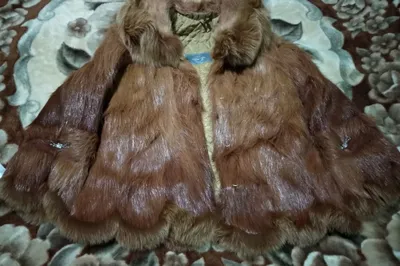 Yangi mo‘ynali palto sotaman 1