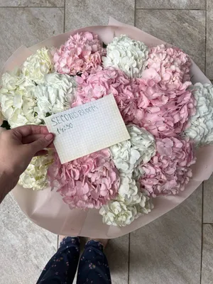 Свежий букет с гортензиями