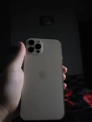 iPhone 12 Pro 1