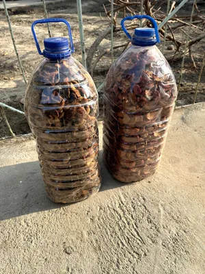 Продаётся курага и сушёные яблоки 1
