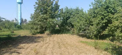 В Термезском районе, в МФЙ Сабзипоя, рядом со школой №13 продаётся участок площадью 12,5 сотки. 1