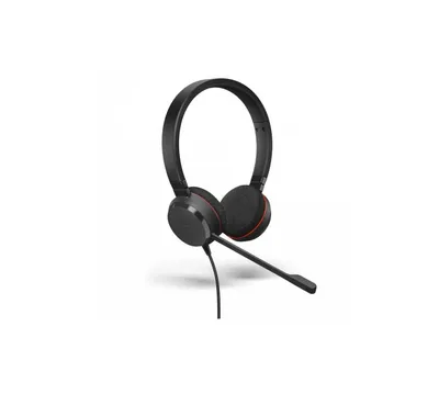 ( Наушники Jabra Evolve 20 Stereo MS USB C/A 1